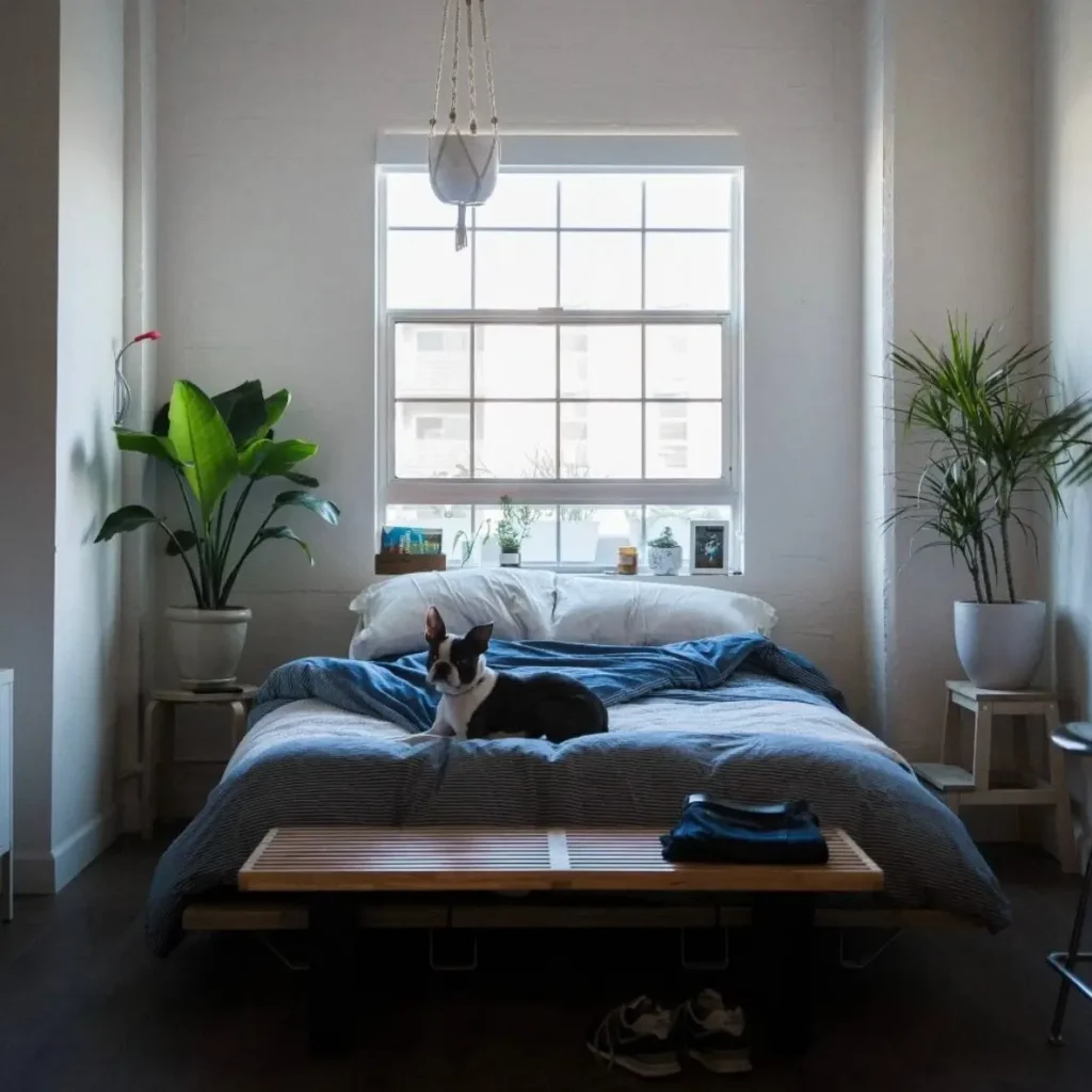 A small cozy bedroom design featuring a low-profile bed centered under a large window, flanked by two large potted plants for a symmetrical look.