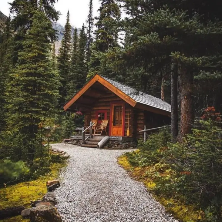 60 Charming Small Log Cabin Ideas to Inspire Your Rustic Retreat 18 A secluded small log cabin with an orange door at the end of a gravel path in a dense pine forest.