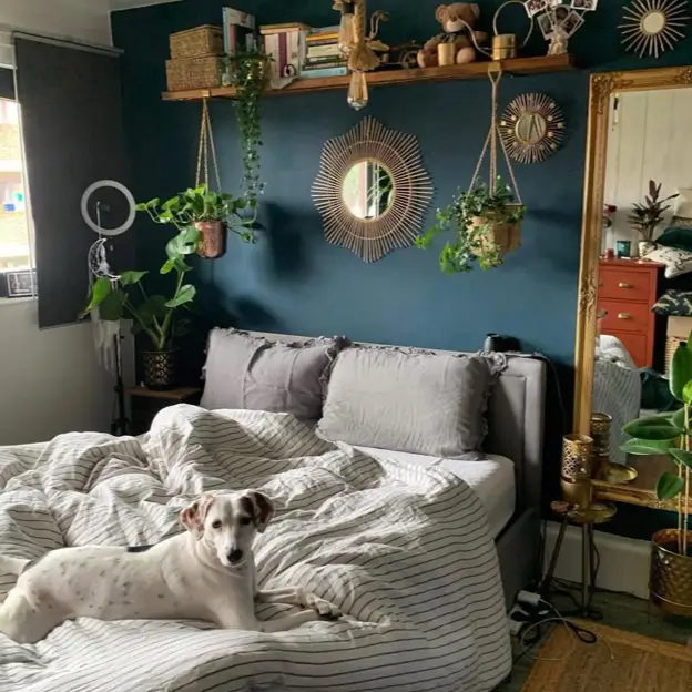 A cozy bedroom with a dark teal accent wall, a bed with striped linen bedding, and decorative gold mirrors.