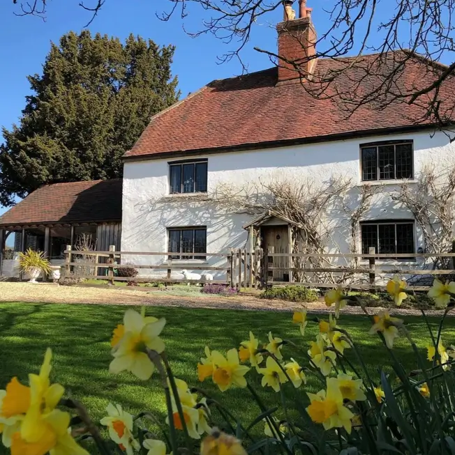 A white English country farmhouse with a red tile roof and rustic fence, with yellow daffodils in the foreground.