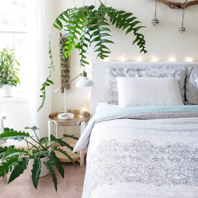 A serene bedroom with warm string lights hung over the bed, complemented by a large hanging fern and light-colored bedding.