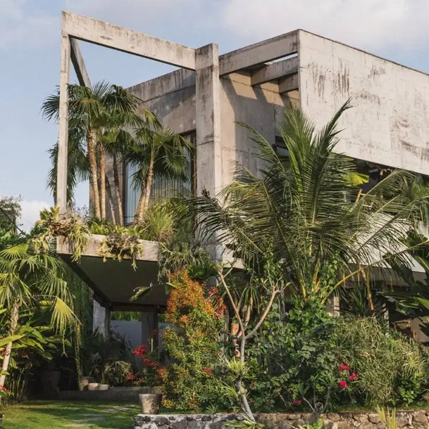 A concrete brutalist house featuring a striking cantilevered balcony that functions as a floating jungle garden, filled with mature palm trees.