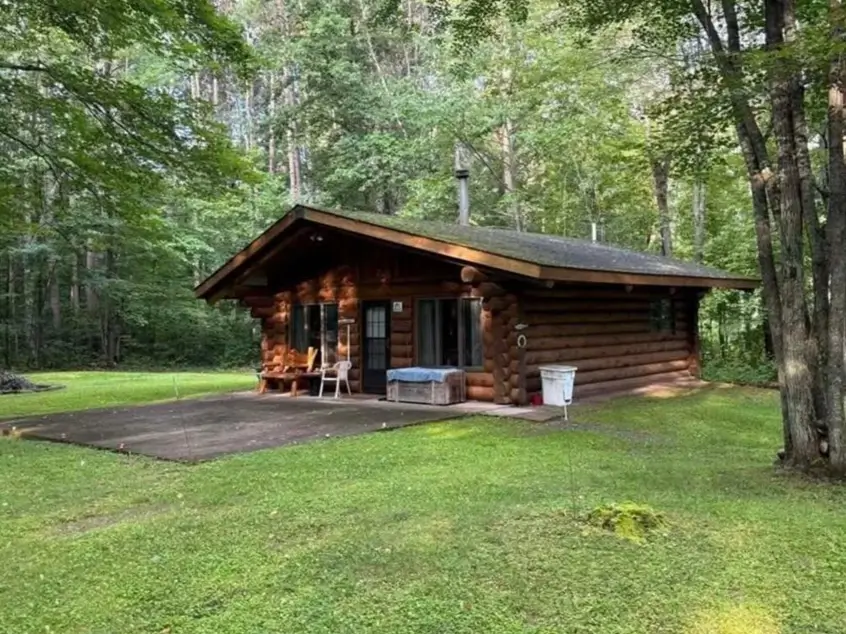 60 Charming Small Log Cabin Ideas to Inspire Your Rustic Retreat 35 A single-story dark wood small log cabin with a concrete patio, set in a grassy clearing in the woods.