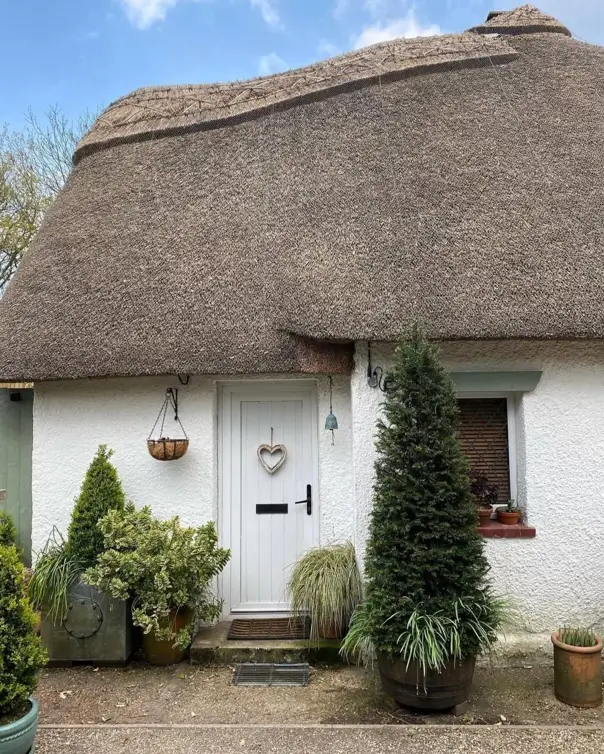 The white front door of a thatched British country house, framed by a collection of potted evergreen plants.