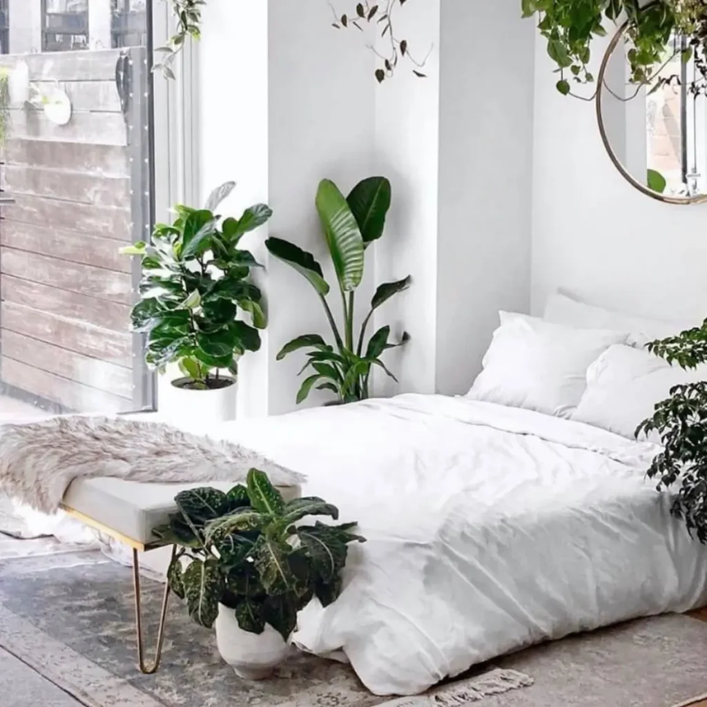 A minimalist bedroom corner with a white floor bed, surrounded by lush green plants in a bright, white room.