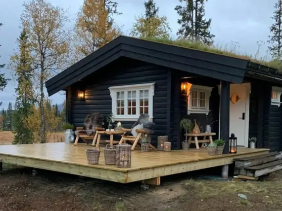 A modern small log cabin with a black exterior, a green living roof, and a large wooden deck, set in a natural landscape at dusk.