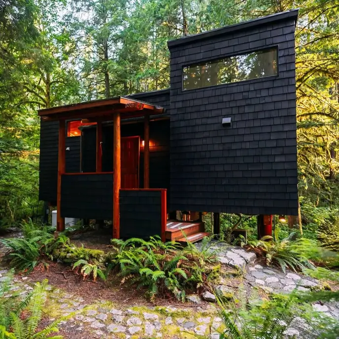 A unique house design of a compact, black-shingled cabin with wood accents nestled among ferns in a forest.