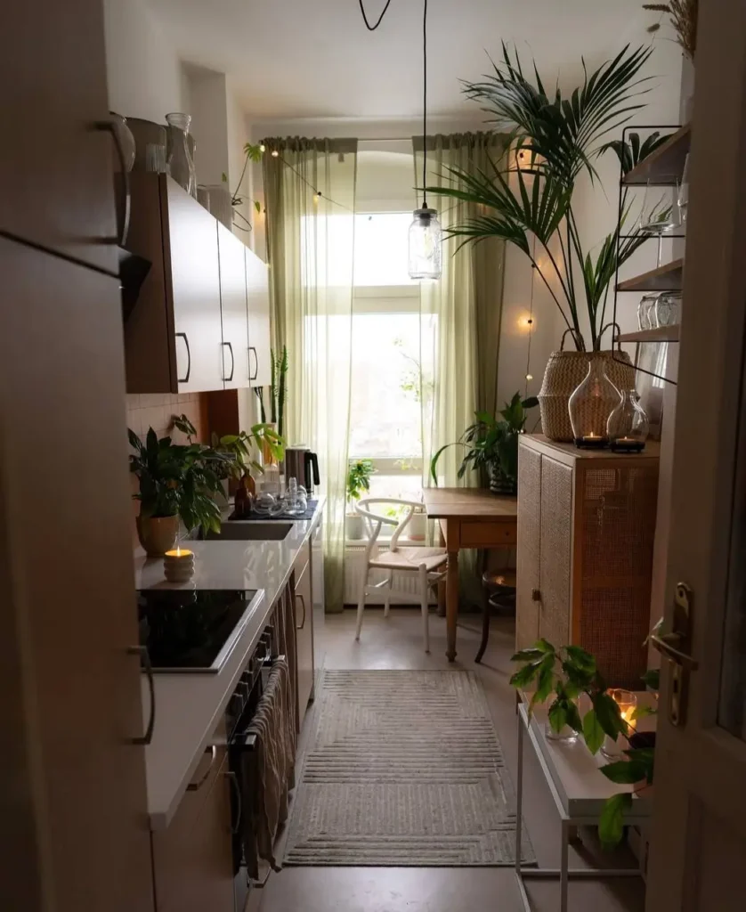 A cozy small apartment kitchen filled with plants and warm light, featuring sheer green curtains that create a tranquil interior oasis.