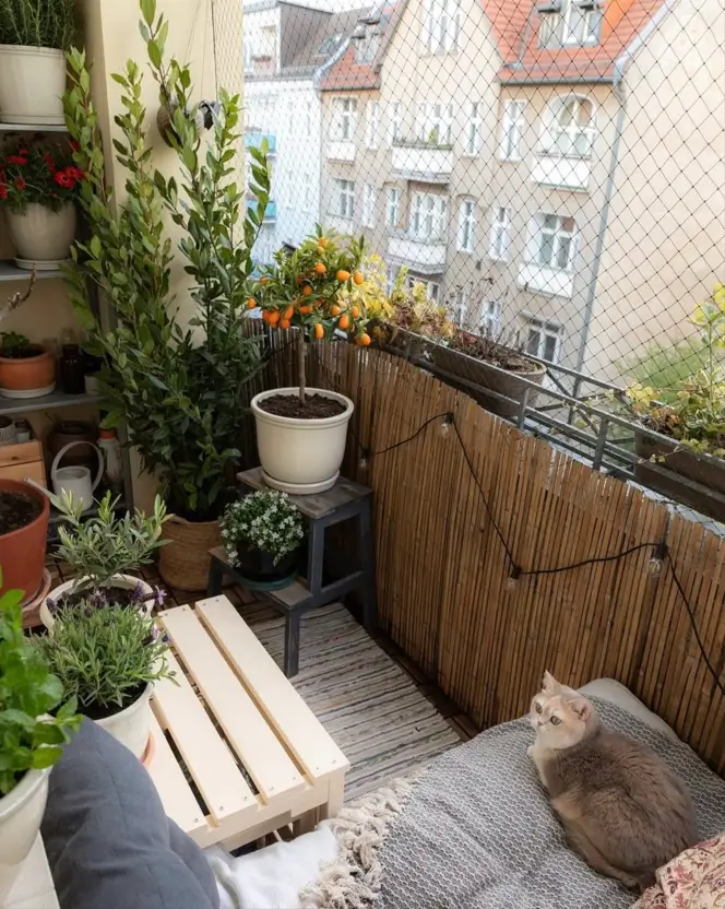 A cozy small apartment balcony transformed into a lush garden with potted plants, a bamboo screen, and a cat resting on a cushion.