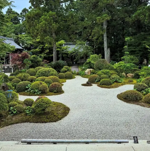Japanese zen garden idea with sculpted azalea bushes set in a wide gravel sea.