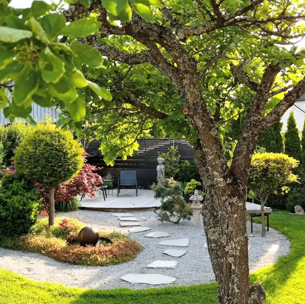Backyard zen garden idea with a gravel path, raised deck, and sculpted topiaries.