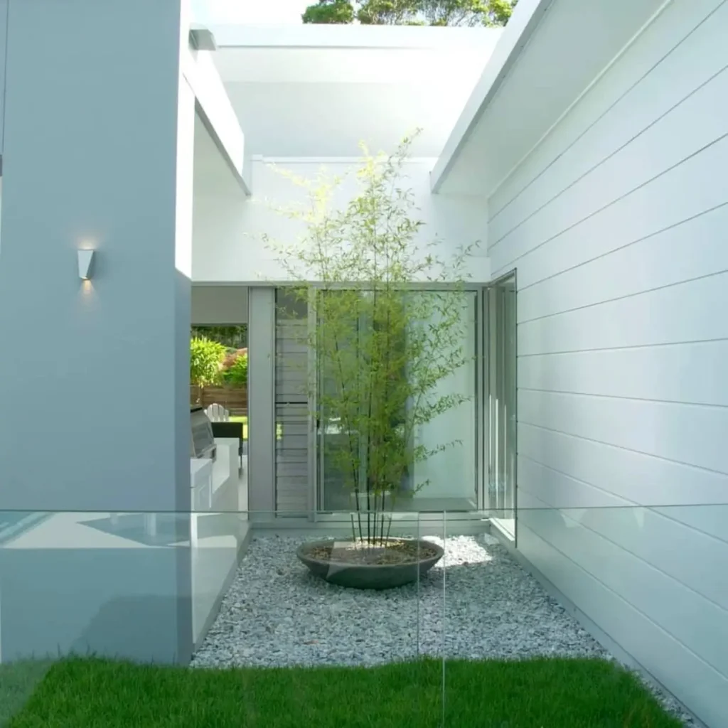 Minimalist modern zen courtyard with a central bamboo plant in a gravel bed.