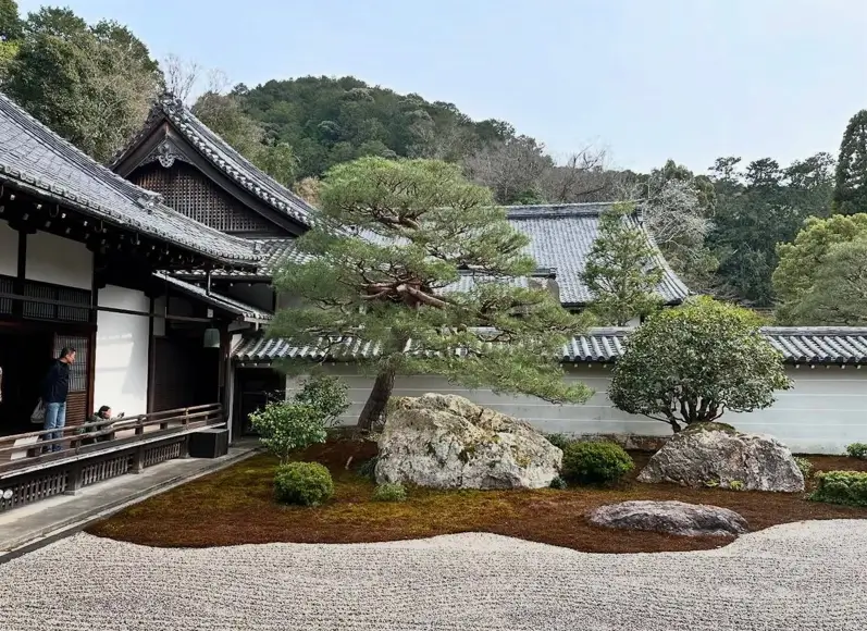 Classic Japanese temple zen garden with raked gravel sea and a shoreline of dry moss.