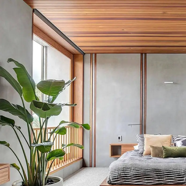 A modern Japanese-style bedroom with a slatted wood ceiling, concrete walls, and a large bird of paradise plant.