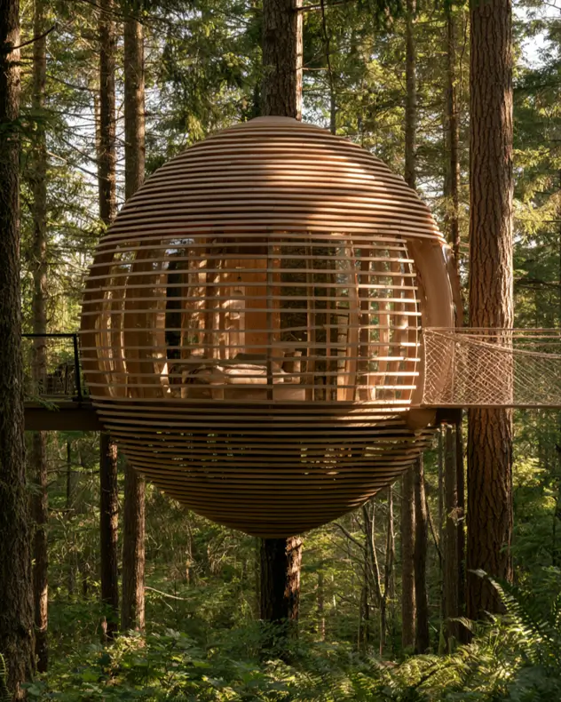 55 Treehouse Design Ideas, From Backyard Platforms to Canopy Cabins 13 Modern treehouse design ideas shaped as a slatted timber sphere threaded onto a trunk with a netted walkway