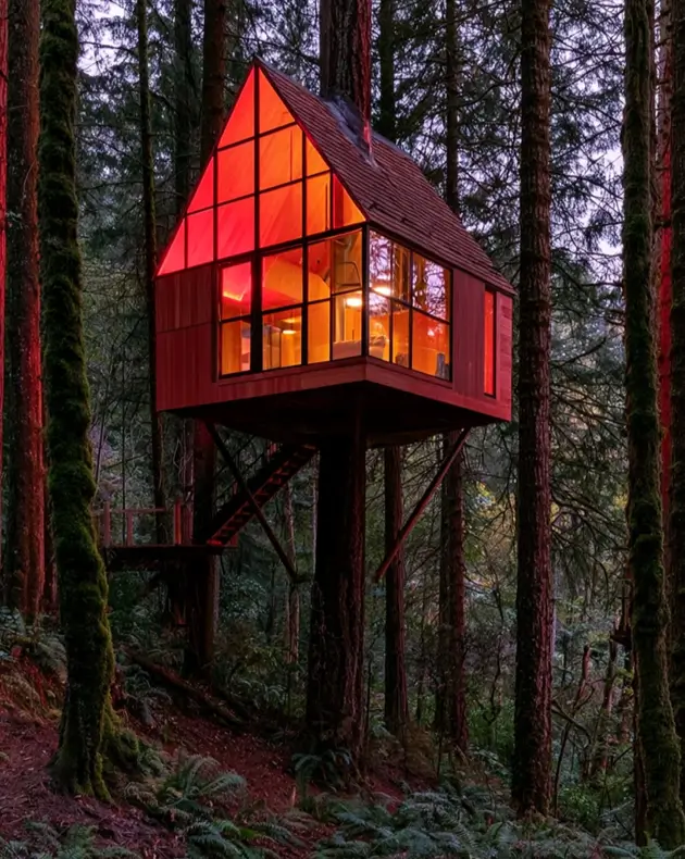 55 Treehouse Design Ideas, From Backyard Platforms to Canopy Cabins 16 Modern treehouse design ideas with red stained cladding, a fully glazed gable and slim steel post supports