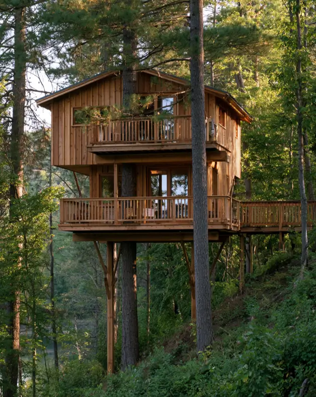 55 Treehouse Design Ideas, From Backyard Platforms to Canopy Cabins 41 Treehouse design ideas featuring a two-level timber cabin on braced posts reached by a long elevated walkway