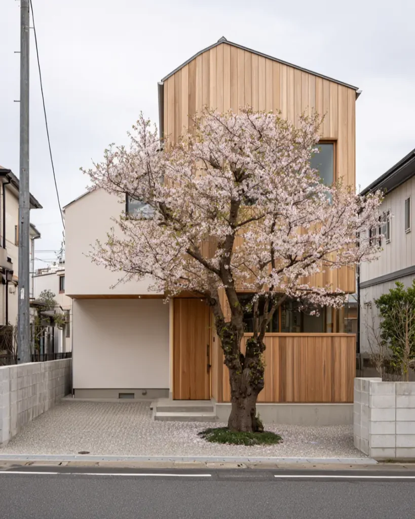 Modern Japanese House Design: 58 Ideas, Costs, and What Defines the Style 19 A modern Japanese wooden house with a vertical cedar gable above a white render ground floor.