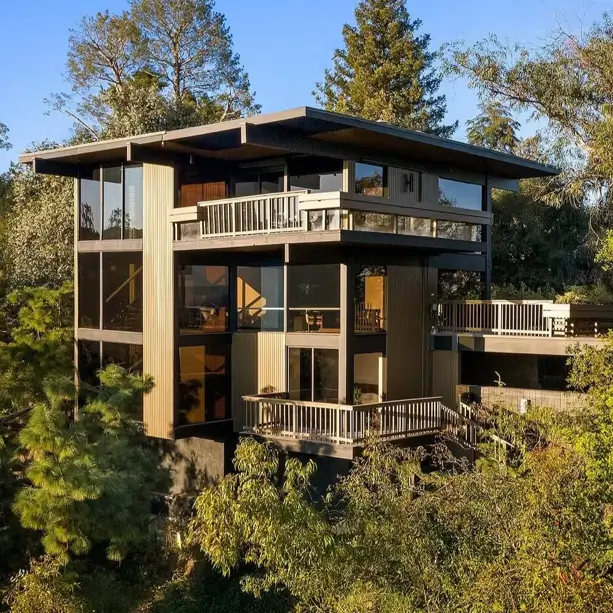Hillside House Design: 38 Ideas for Building With the Slope 4 mid-century modern hillside house on stilts with glass walls stepping down a wooded slope