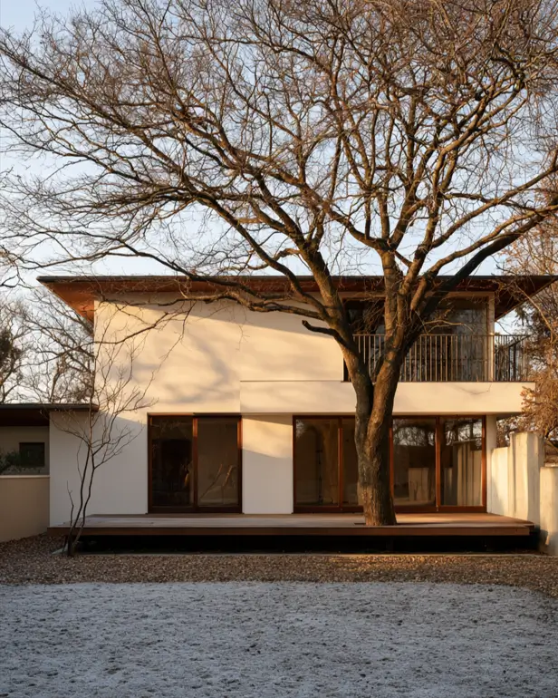 Modern Japanese House Design: 58 Ideas, Costs, and What Defines the Style 31 Deep eaves and sliding glass doors above a timber deck, with a mature tree kept beside the house.